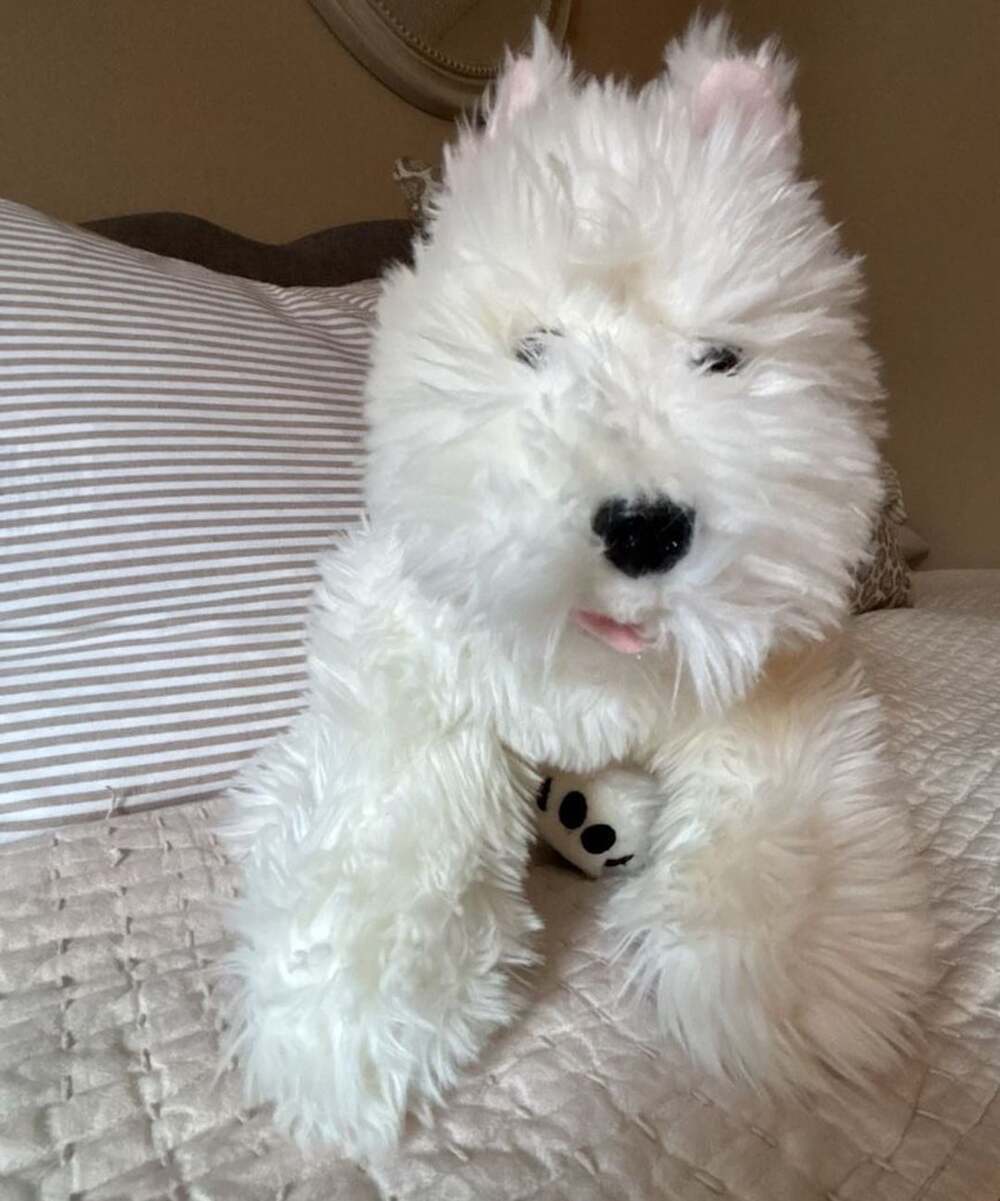 Build-A-Bear Workshop White Shaggy Terrier Puppy Dog Stuffed Plush